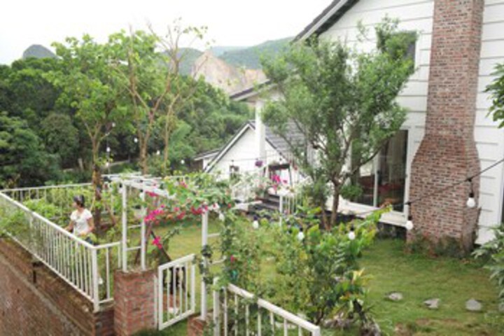 Le House Luong Son