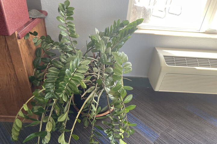 Hotel Interior 6 of 110