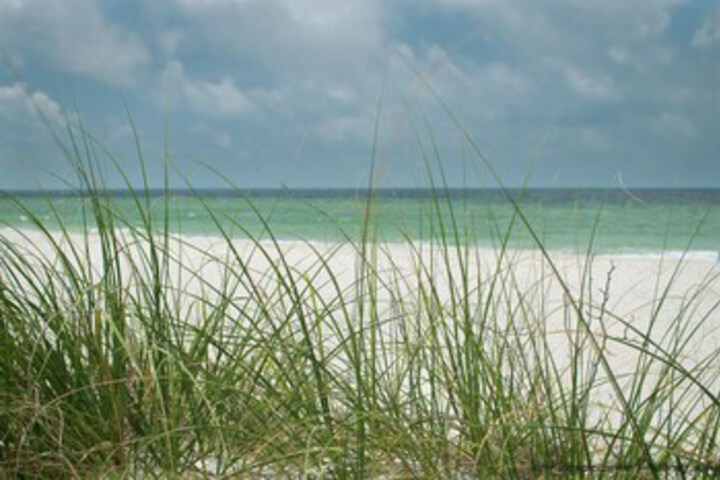Beach 6 of 14