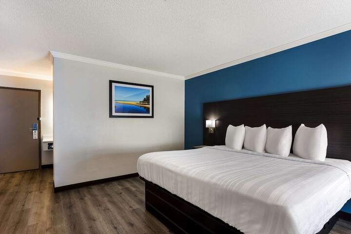 1 King Bed (7 of 14)