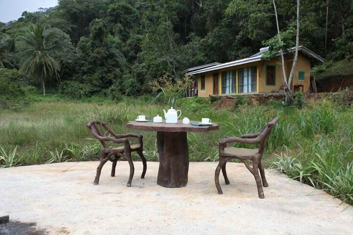 Sinharaja Forest Edge