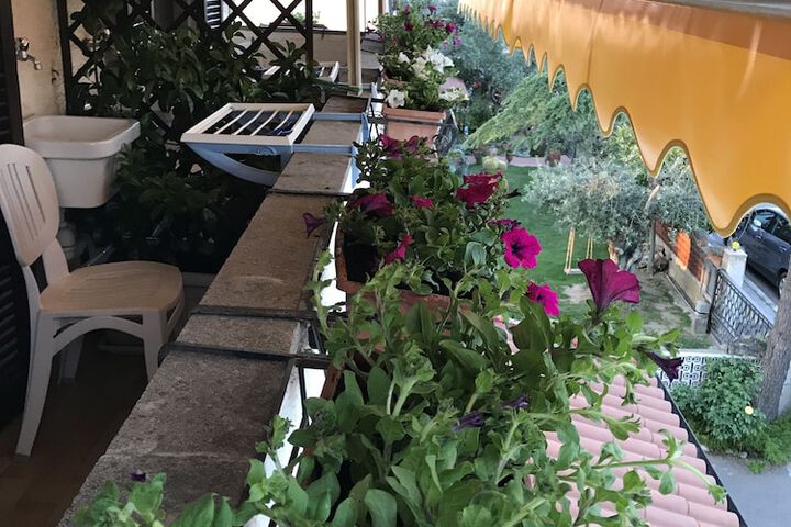 Terrace/Patio 39 of 48