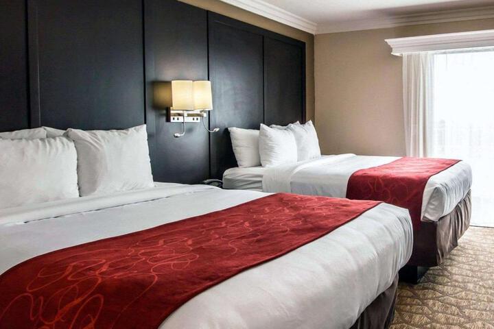 1 King Bed Suite (24 of 44)