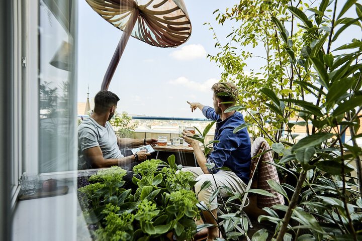 Terrace/Patio 74 of 76
