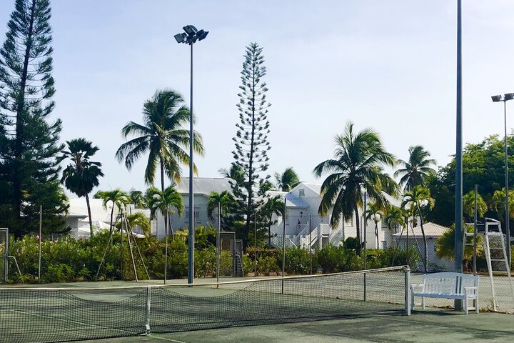 Tennis and Basketball Courts 15 of 28