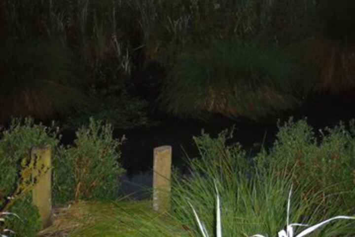 Property Grounds 22 of 28