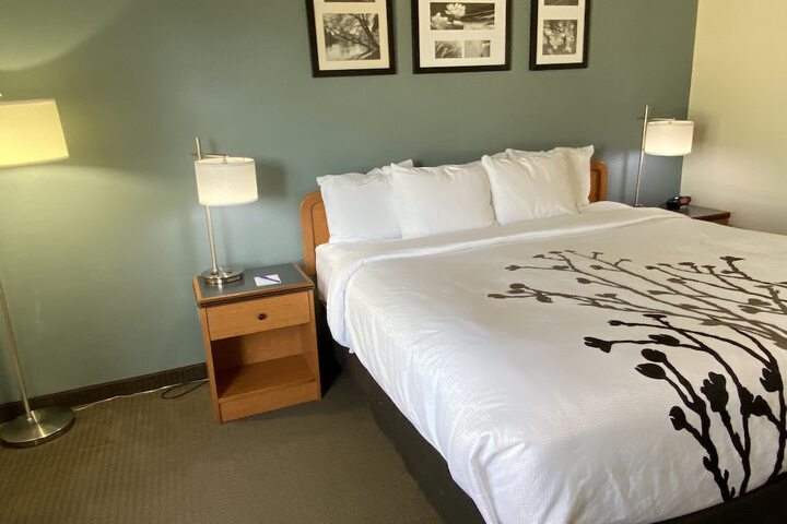 1 King Bed (10 of 14)