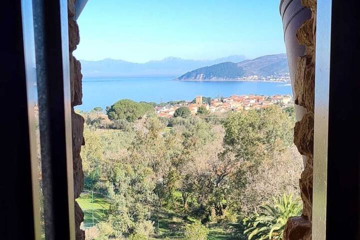 View from room
