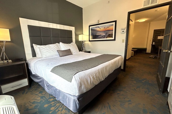 1 King Bed Communication Assistance Microwave, Refrigerator Walk in Shower Full Breakfast (4 of 8)