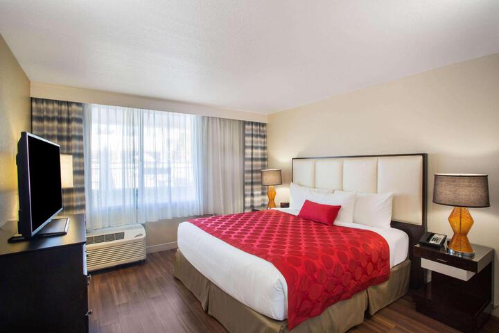 1 King Bed (17 of 17)