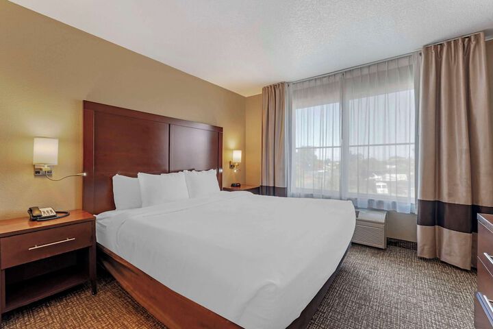 1 King Bed Accessible (9 of 22)