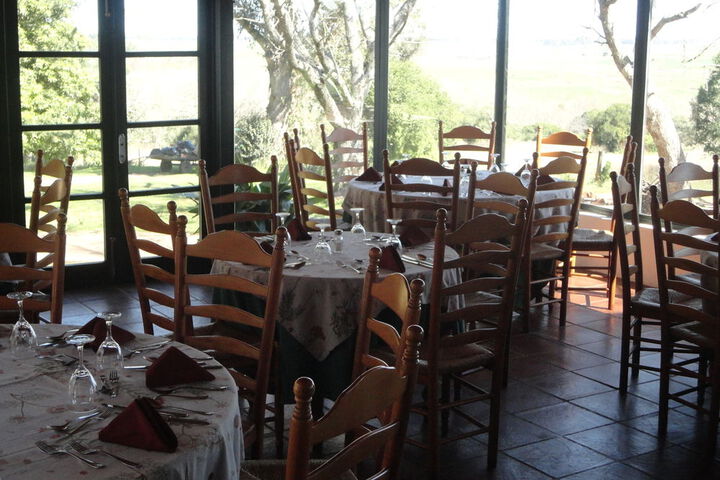 Dining 66 of 73
