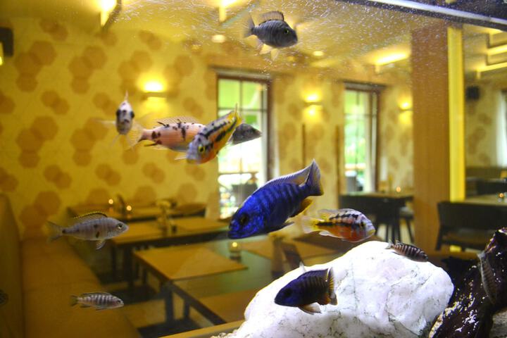 Dining 79 of 116