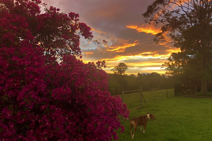 Hotel Exterior 15 of 29