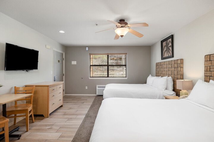 Room 40 of 220