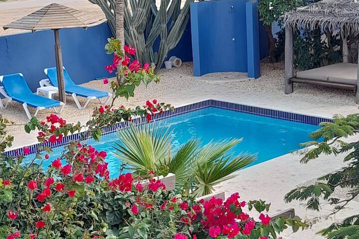 Hotel Pool