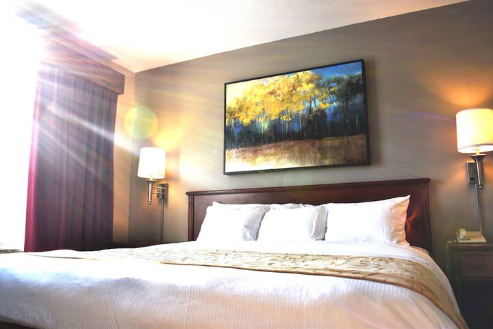 Deluxe Suite King Bed (4 of 12)