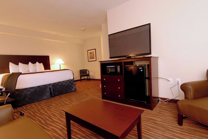 Standard | King Bed (1 of 21)