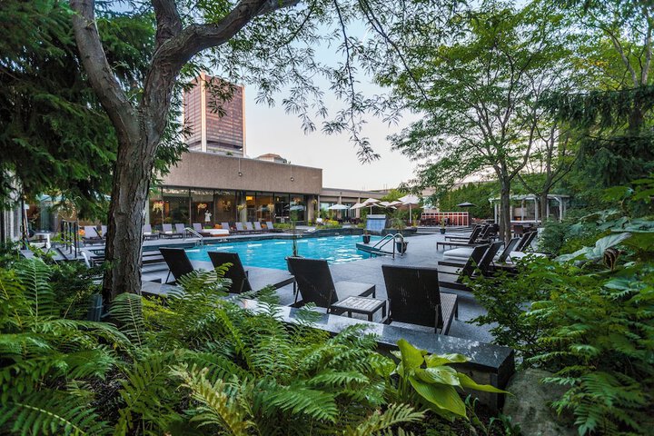Rooftop pool