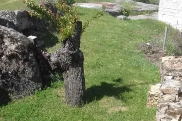 General 12 of 18