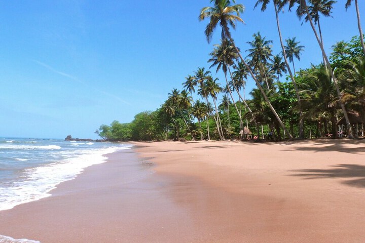 Beach 46 of 57