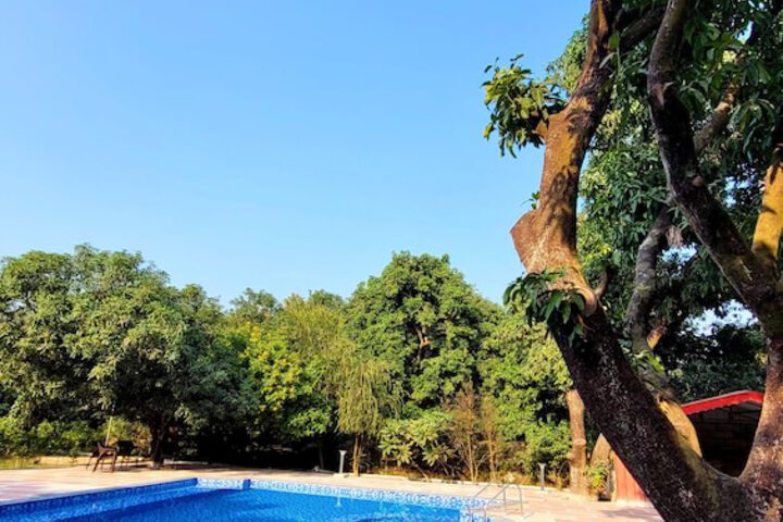 Pool 28 of 63