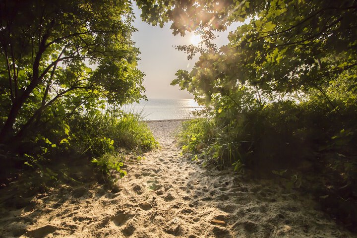 Beach 83 of 101
