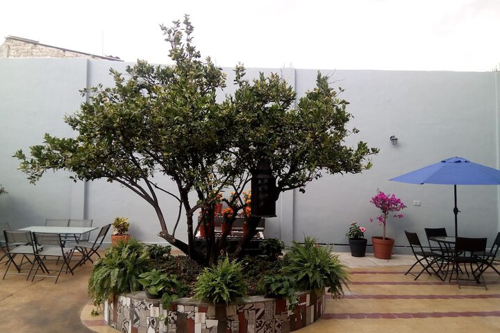 Terrace/Patio 36 of 53