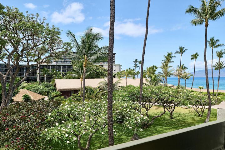 View from room
