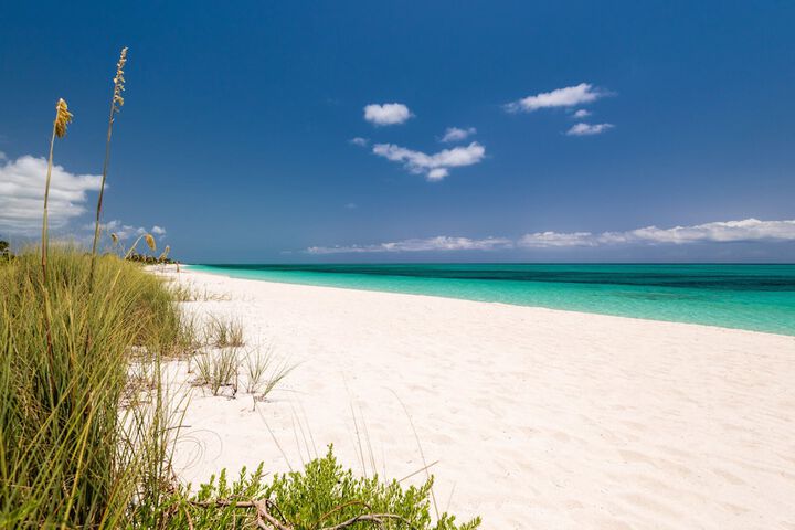 Beach 256 of 299