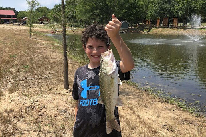 Property Grounds 52 of 58