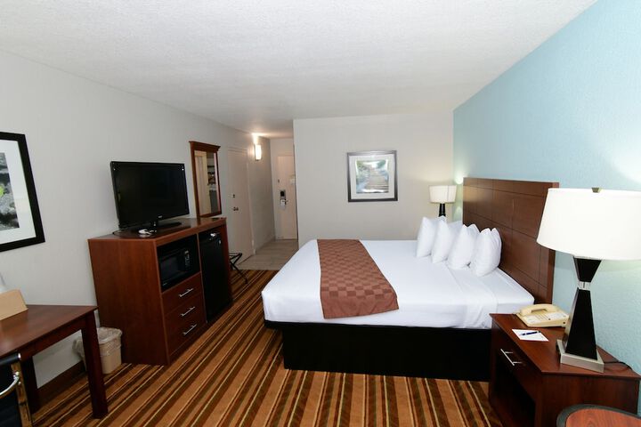 Standard | King Bed (3 of 12)