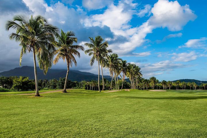 Golf 100 of 157