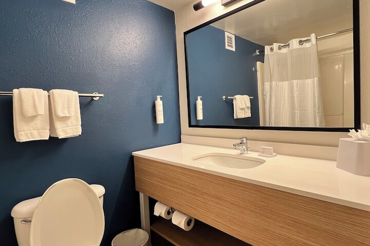 1 King Bed Bathtub Accessible (7 of 12)