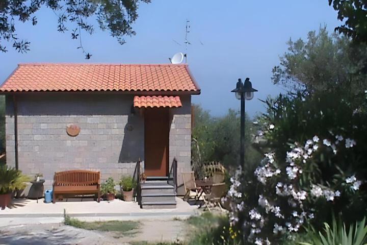 Agriturismo LOlivara