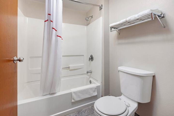 ADA Accessible Deluxe 1 Queen Bed with Roll in Shower (6 of 14)