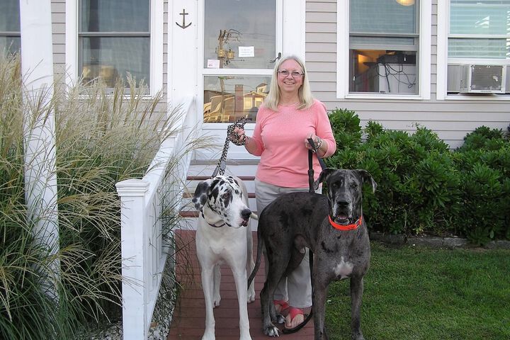 Pet Friendly 156 of 230