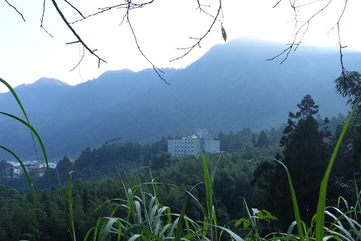 Hotel 36 of 41