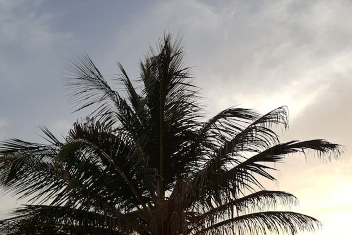 Beach 16 of 20