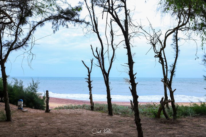 Beach 36 of 36