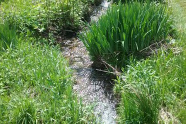 Property Grounds 88 of 140
