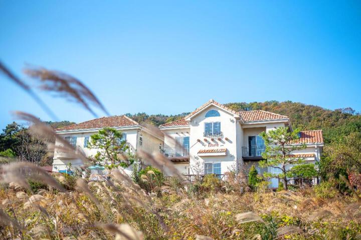 General 16 of 50