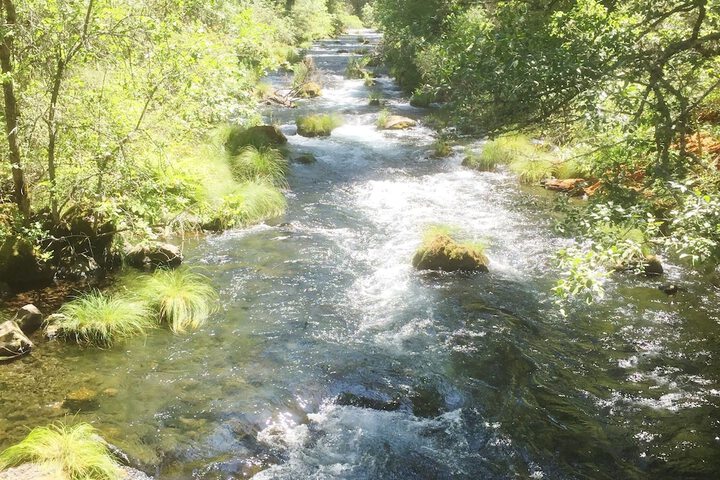 Fishing