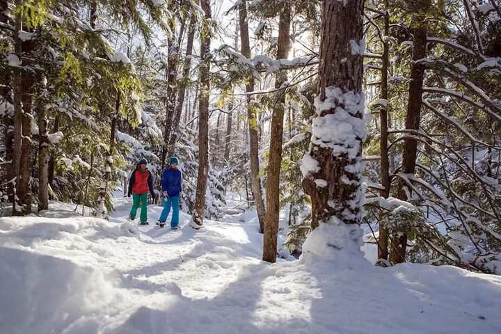 Snowshoeing