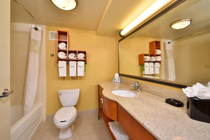 Standard Room, King or Two Doubles (2 of 12)