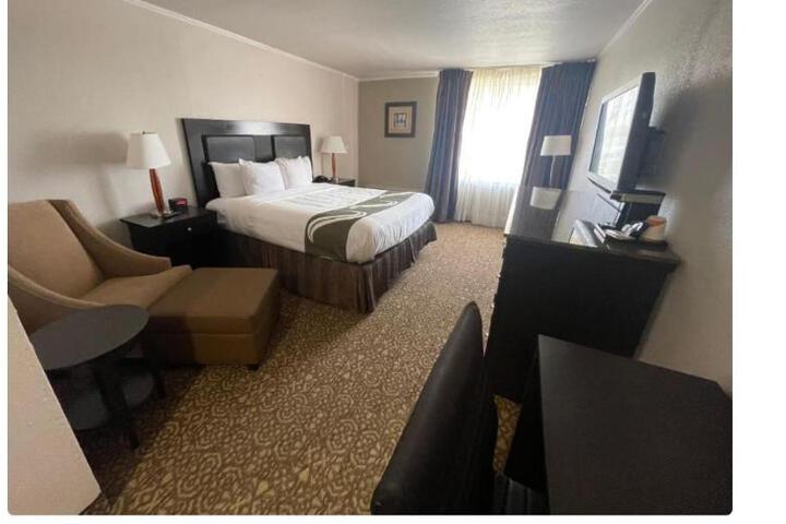 1 King Bed (2 of 6)
