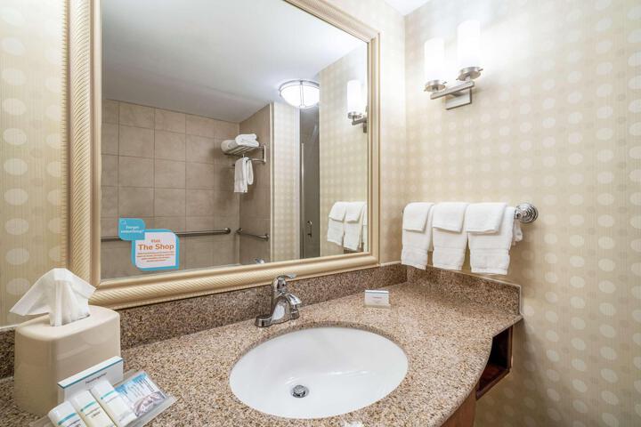 1 King Mobility Hearing Accessible Roll in Shower (2 of 4)