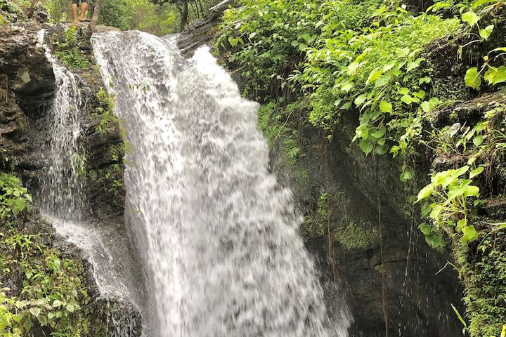 Mount Avangan Eco Adventure Park in Coron