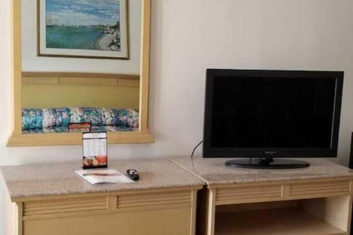 Television