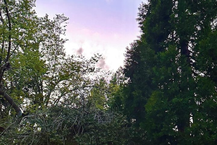 Hotel Exterior 66 of 80